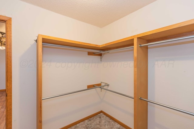 spacious closet with carpet