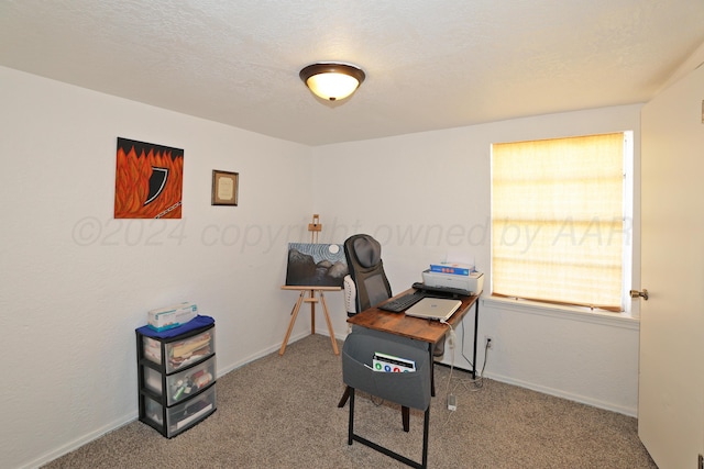 4112 S Monroe St, Amarillo, TX 79110 - office space with carpet and baseboards