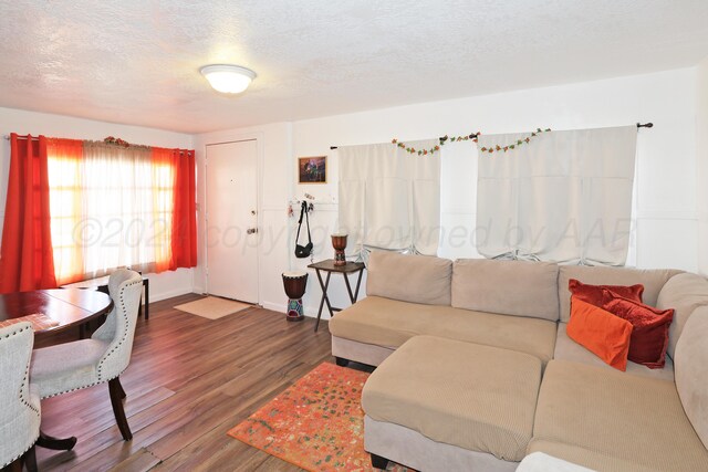 4112 S Monroe St, Amarillo, TX 79110 - living area with wood finished floors, a textured ceiling, and baseboards