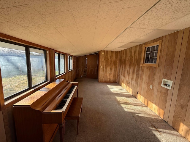 hall featuring carpet flooring and wood walls