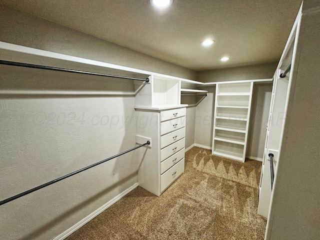 walk in closet featuring carpet floors