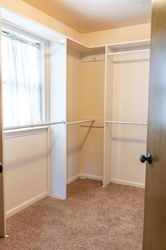 walk in closet featuring light carpet