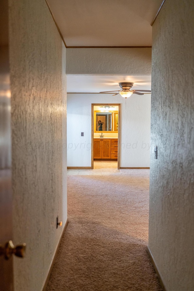 hall with light colored carpet