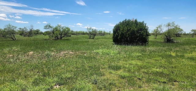 315 Prairie Pt, Canyon, TX 79015 - photo 6