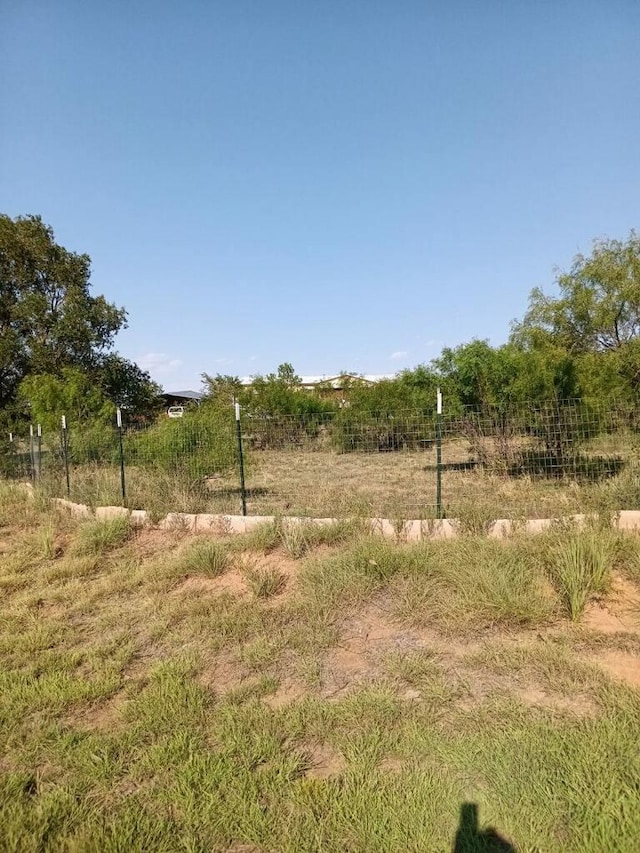 view of yard with a rural view