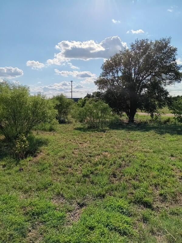 view of local wilderness featuring a rural view