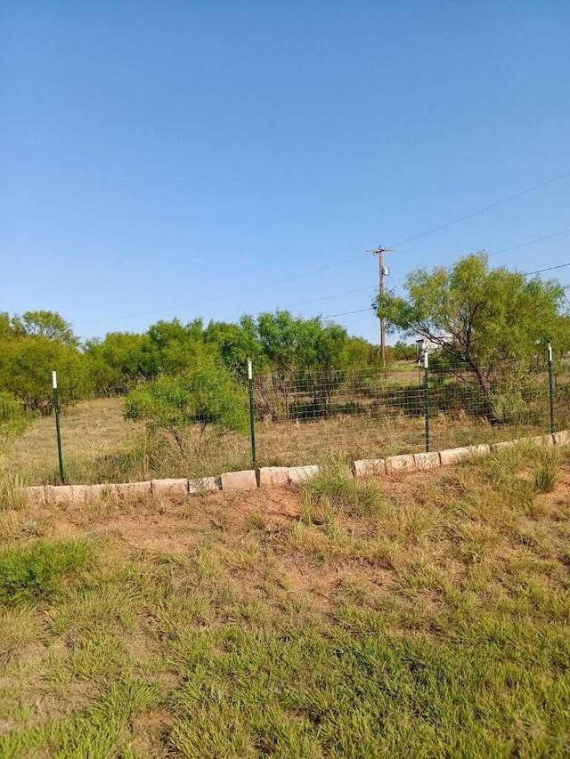 view of yard with a rural view