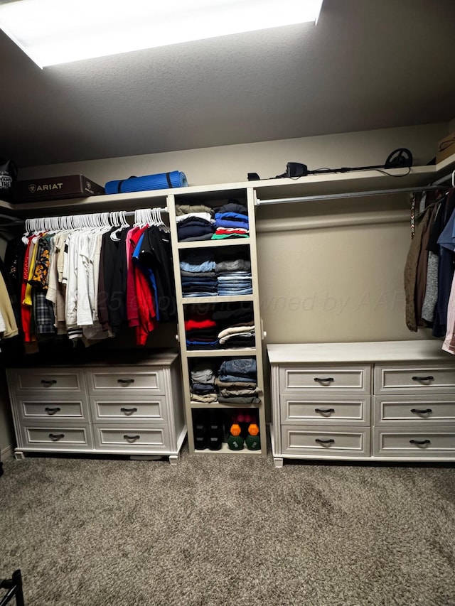 walk in closet featuring carpet flooring