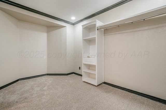 spacious closet featuring light carpet