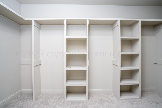 spacious closet featuring carpet flooring