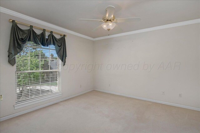 3511 Kensington Pl, Amarillo, TX 79121 - empty room with carpet flooring, baseboards, ceiling fan, and ornamental molding