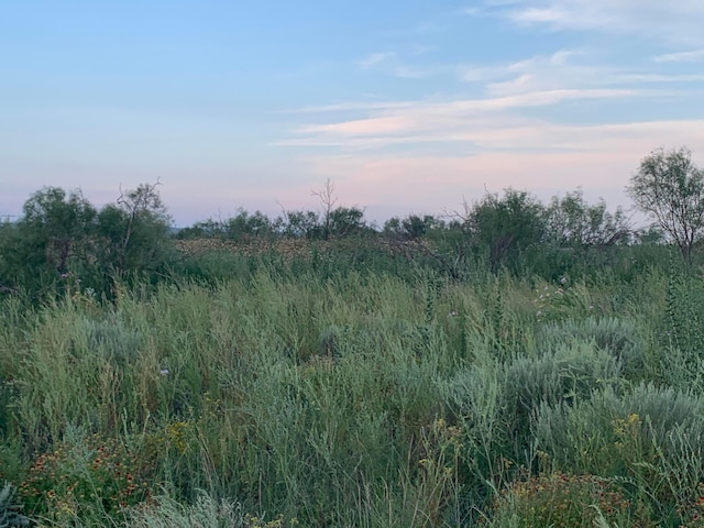 0 Perrins Rd, Valle De Oro, TX 79010 - photo 7