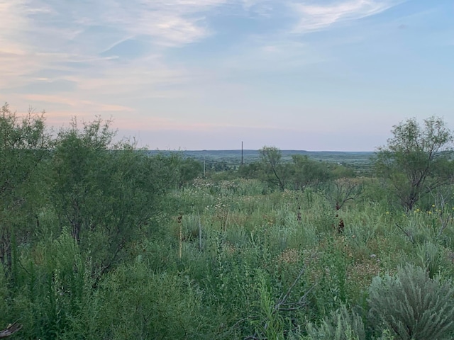 0 Perrins Rd, Valle De Oro, TX 79010 - photo 6