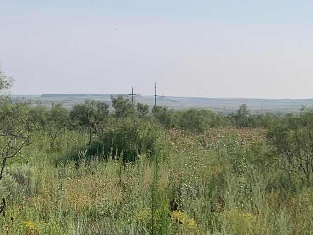 0 Perrins Rd, Valle De Oro, TX 79010 - photo 1