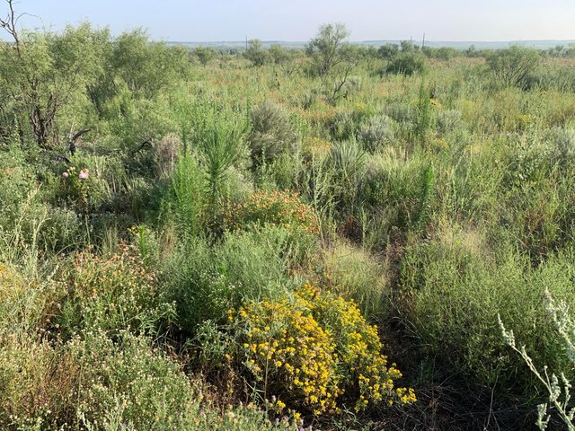 0 Perrins Rd, Valle De Oro, TX 79010 - photo 4