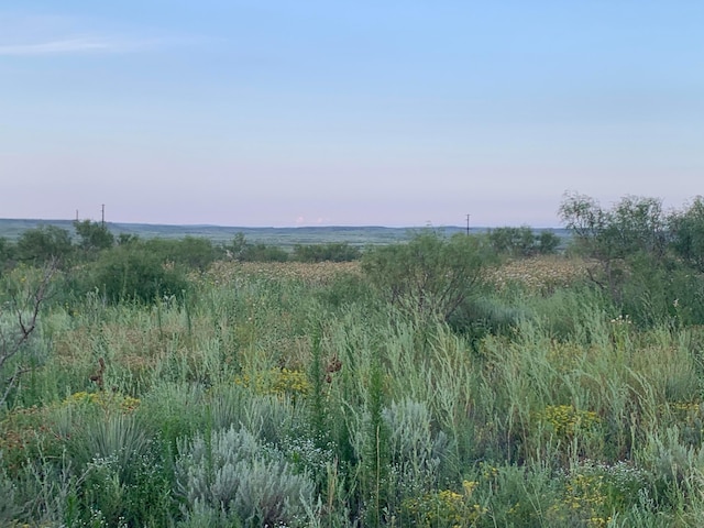 0 Perrins Rd, Valle De Oro, TX 79010 - photo 5
