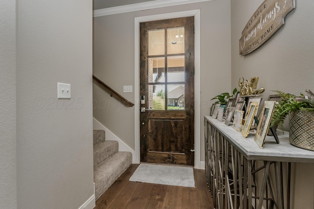 foyer entrance with crown molding and dark wood-type flooring