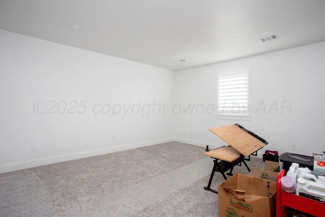 9800 Barton Springs Dr, Amarillo, TX 79119 - interior space featuring carpet floors and baseboards