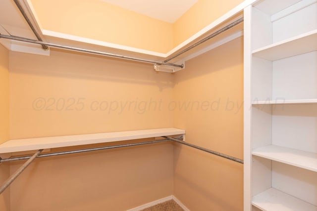 spacious closet featuring carpet