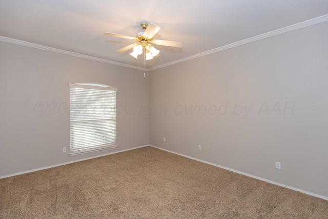 spare room with carpet, crown molding, and a ceiling fan