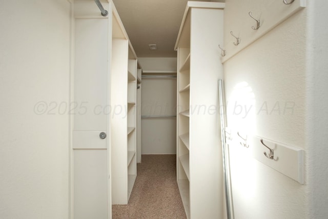 walk in closet with light carpet