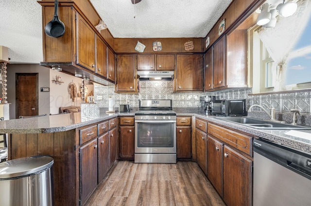 kitchen with under cabinet range hood, stainless steel appliances, a peninsula, a sink, and decorative backsplash