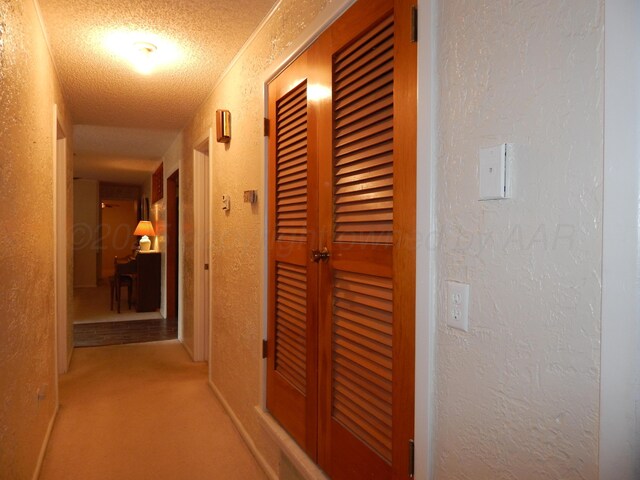 1706 Ellison St, Wellington, TX 79095 - photo 48