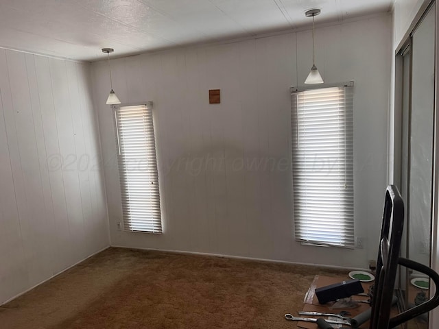 unfurnished dining area with carpet, a wealth of natural light, and wooden walls