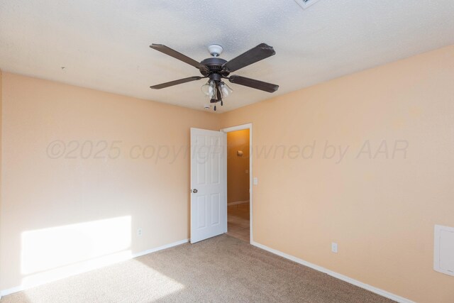 4207 Catalpa Ln, Amarillo, TX 79110 - photo 21