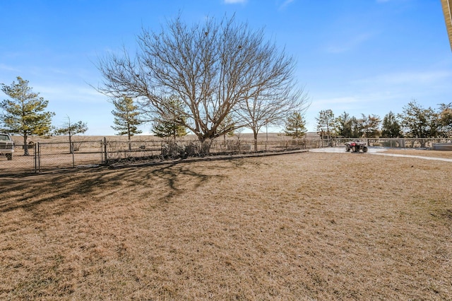 view of yard featuring a rural view and a patio