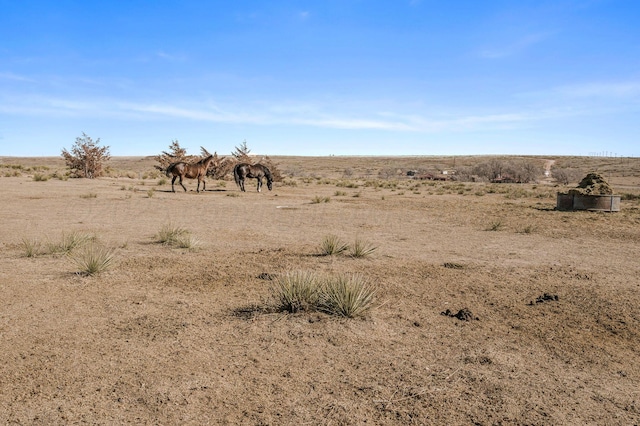 view of landscape with a rural view