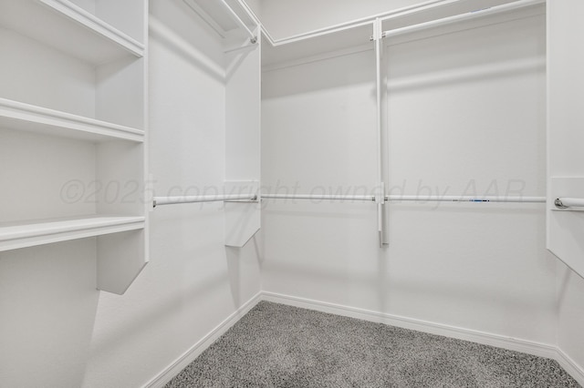 307 S Tennessee St, Amarillo, TX 79106 - walk in closet featuring carpet