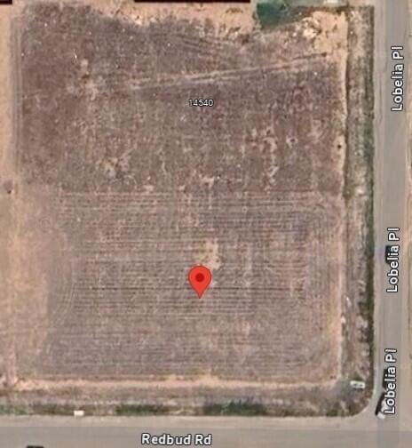 14586 Lobelia Pl, Amarillo TX, 79119 land for sale