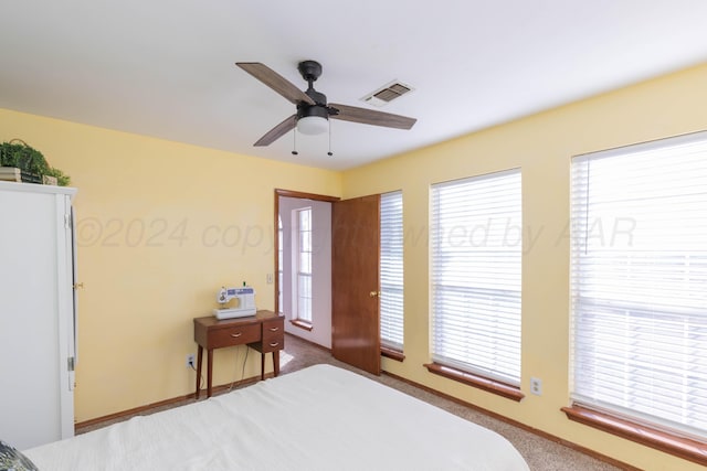 16400 Fm2186, Amarillo, TX 79119 - photo 29