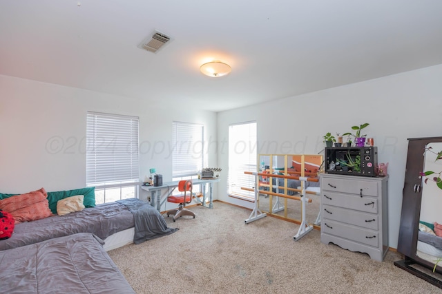 16400 Fm2186, Amarillo, TX 79119 - photo 41