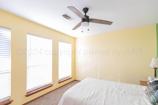 16400 Fm2186, Amarillo, TX 79119 - photo 28