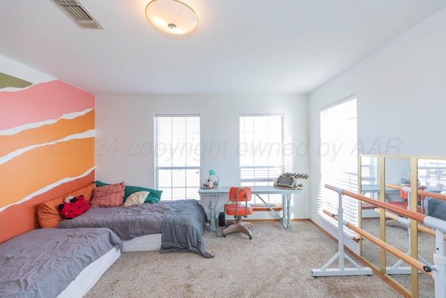 16400 Fm2186, Amarillo, TX 79119 - photo 42