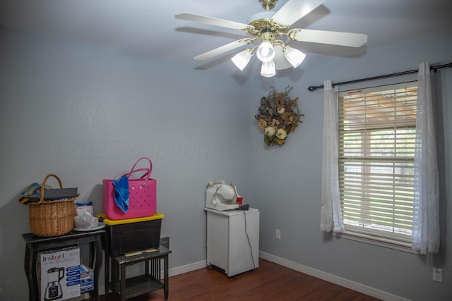 503 Maple Ave, Panhandle, TX 79068 - misc room featuring ceiling fan, wood finished floors, and plenty of natural light