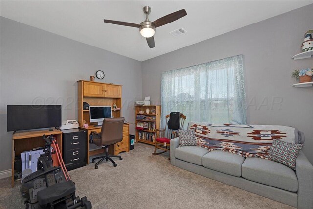 10051 Cocklebur Ln, Amarillo, TX 79119 - photo 24