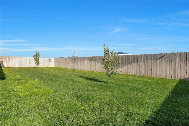 10051 Cocklebur Ln, Amarillo, TX 79119 - photo 33