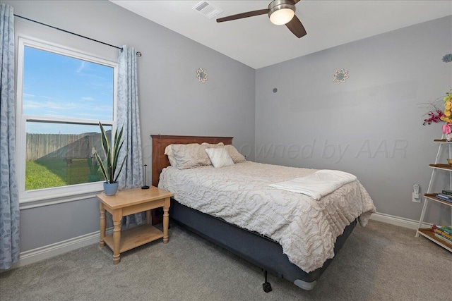 10051 Cocklebur Ln, Amarillo, TX 79119 - photo 26