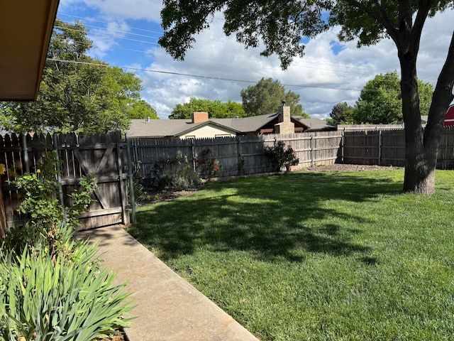 409 Thompson Ln, Canyon, TX 79015 - view of yard