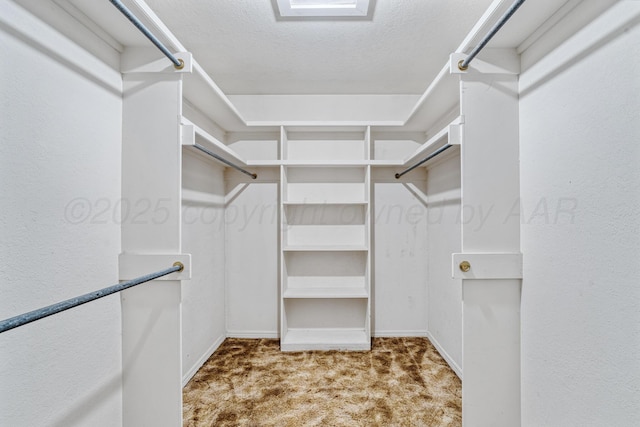 1604 Country Ln, Panhandle, TX 79068 - spacious closet with carpet floors