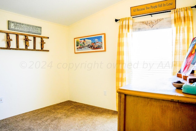 carpeted empty room with ornamental molding and lofted ceiling