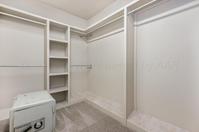 7110 Bennett St, Amarillo, TX 79119 - spacious closet with carpet floors
