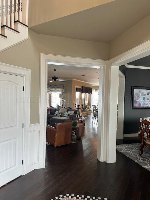 corridor featuring dark wood finished floors