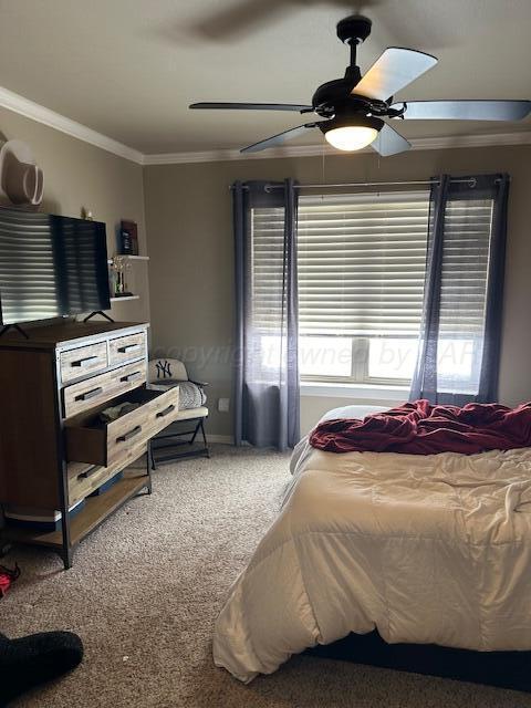 bedroom featuring carpet floors, a ceiling fan, and crown molding
