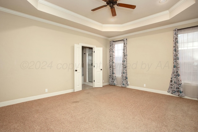 unfurnished room with ceiling fan, a raised ceiling, carpet floors, and crown molding