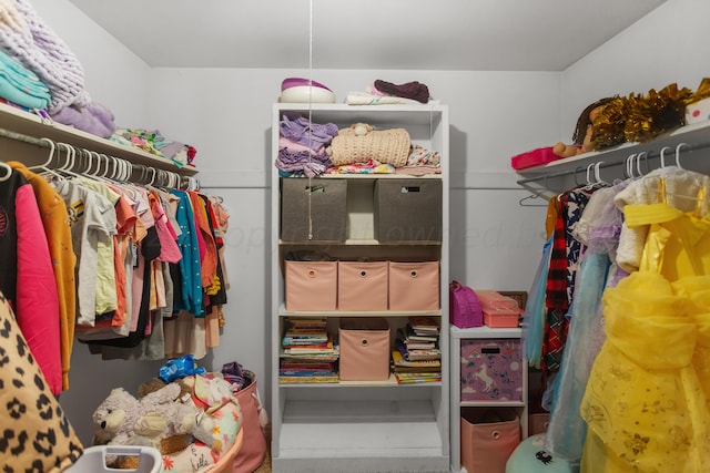 view of spacious closet