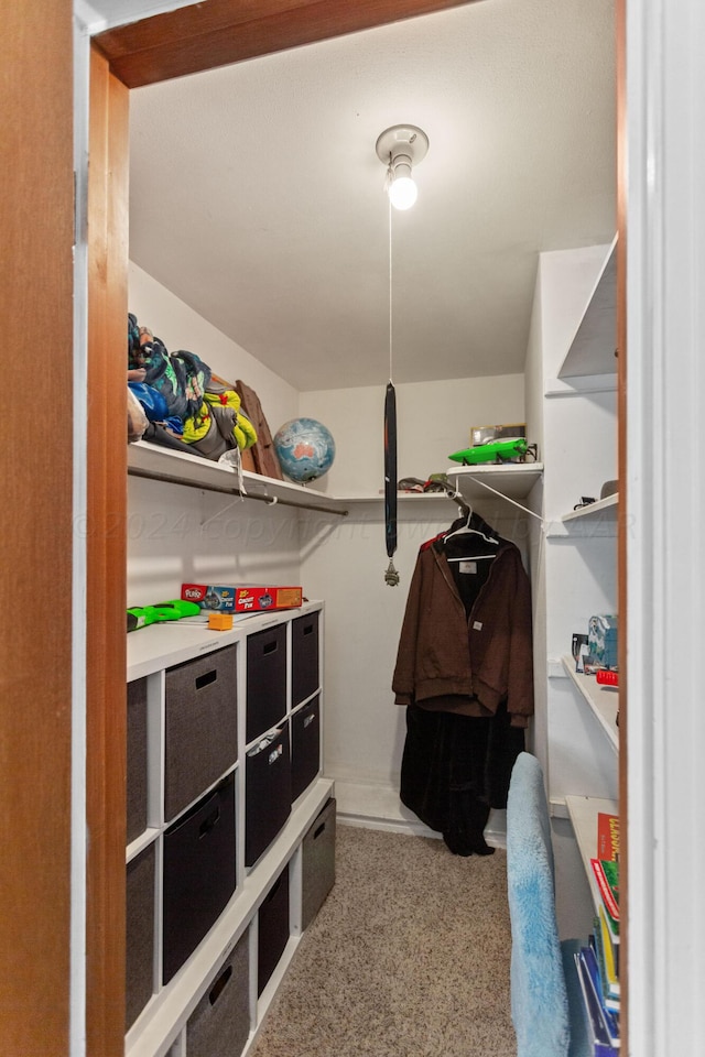 view of walk in closet